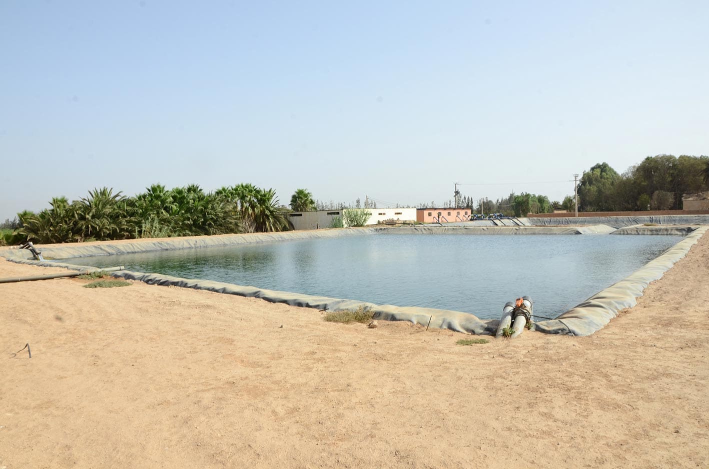 Réalisation d'irrigation - Kamal Bennis
