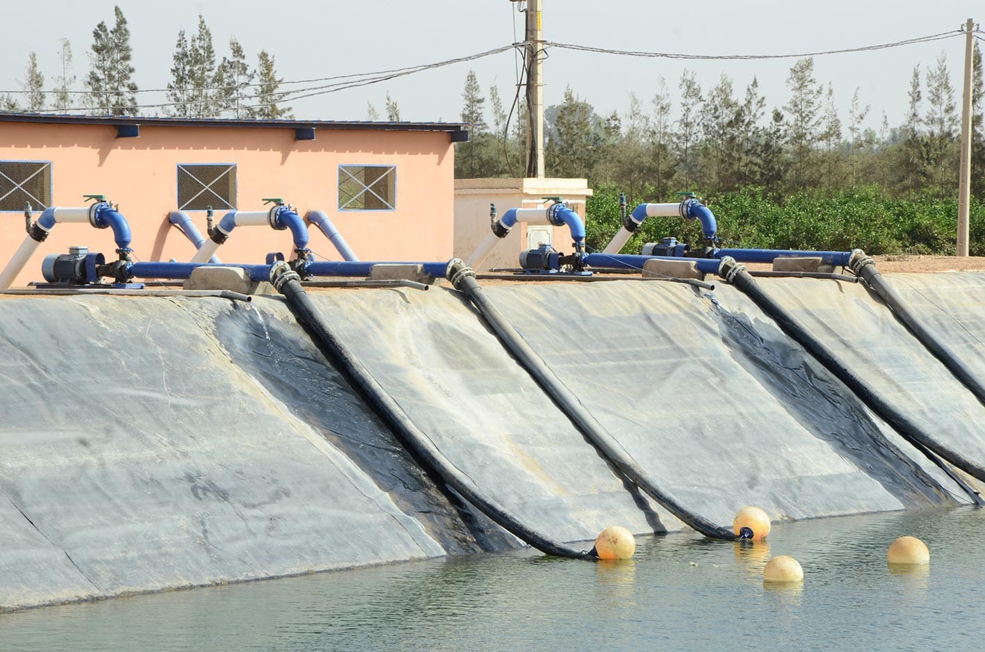 Réalisation d'irrigation - Kamal Bennis