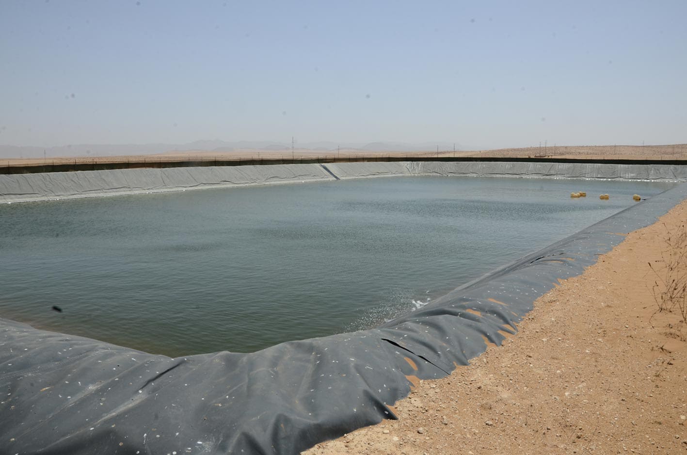 Réalisation d'irrigation - Kamal Bennis
